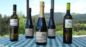 Vinos Blancos de Cantabria. Bodegas Vidular 