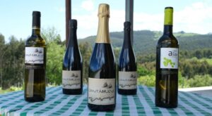 Maridajes Vinos Cantabria . Bodegas Vidular