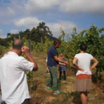 Cantabria como Destino Enoturístico Bodegas Vidular