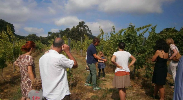 Cantabria como Destino Enoturístico Bodegas Vidular